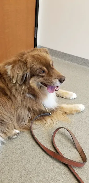 Veterinary Neurology Center Picture 6