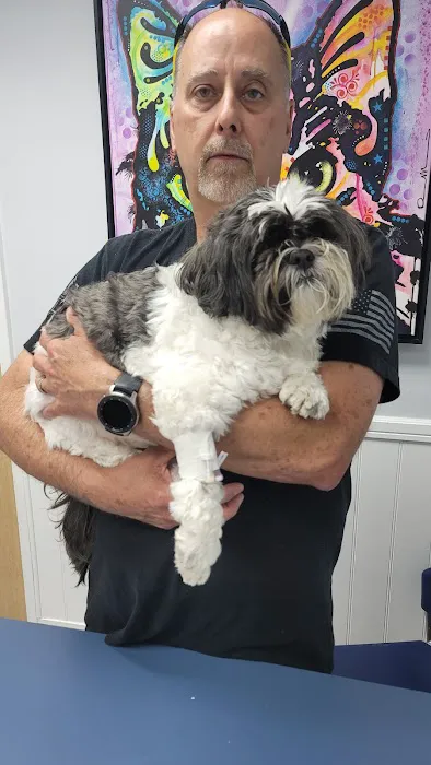 Newport Hills Animal Hospital Picture 2
