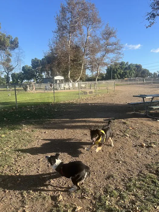 Newport Hills Animal Hospital Picture 7