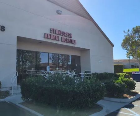 Stonecreek Animal Hospital, A Thrive Pet Healthcare Partner