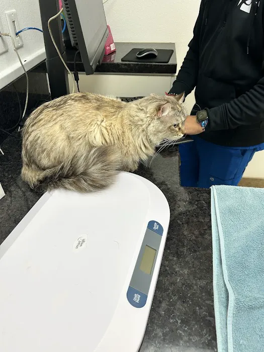 Stonecreek Animal Hospital, A Thrive Pet Healthcare Partner Picture 2