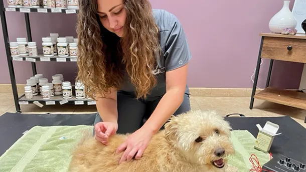 VCA Yorba Regional Animal Hospital Picture 9