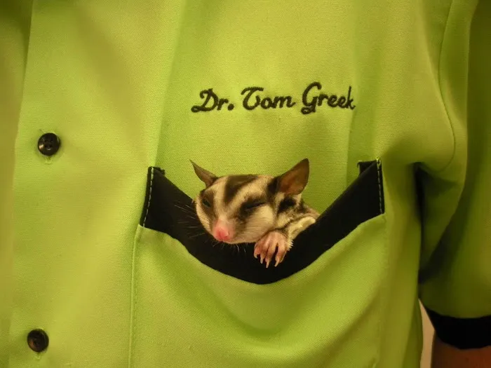 Greek and Associates Veterinary Hospital Picture 5