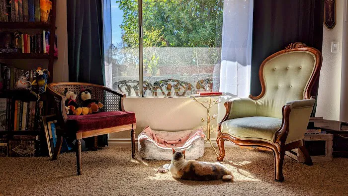 Greek and Associates Veterinary Hospital Picture 10