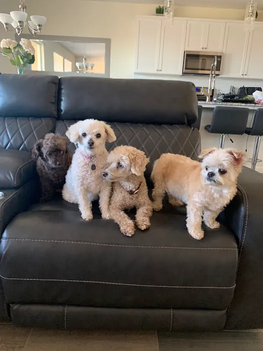 Sunrise Pet Hospital Picture 4