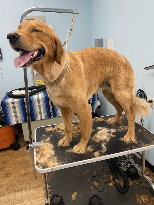 Anaheim Canyon Animal Hospital Picture 1
