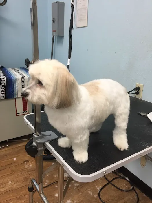 Anaheim Canyon Animal Hospital Picture 4