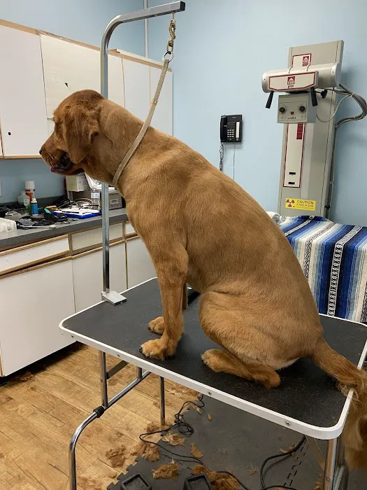 Anaheim Canyon Animal Hospital Picture 10
