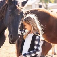 Hannahs Horse Clinic ico
