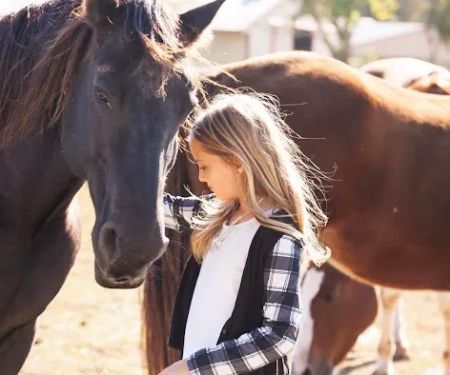 Hannahs Horse Clinic