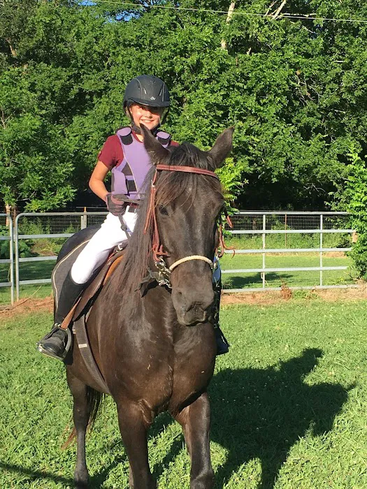 Hannahs Horse Clinic Picture 3