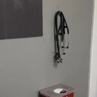 Brazos Oaks Animal Hospital ico