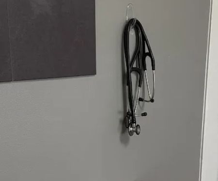 Brazos Oaks Animal Hospital