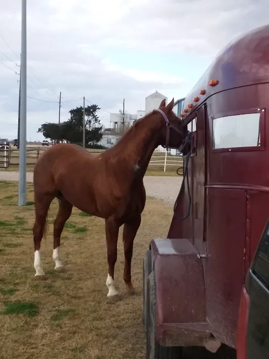 Katy Equine Clinic Picture 3