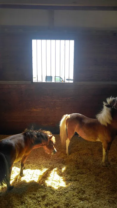 Katy Equine Clinic Picture 5