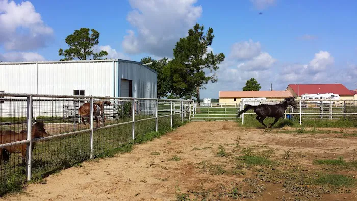 Katy Equine Clinic Picture 6