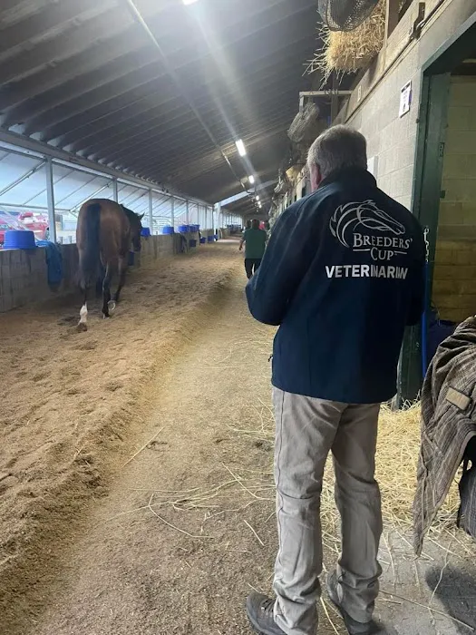 Katy Equine Clinic Picture 7