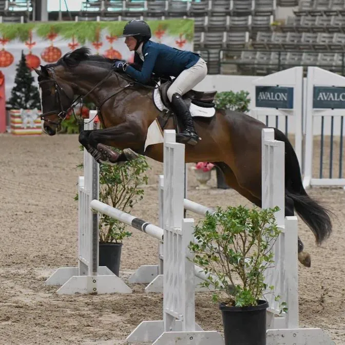 Katy Equine Clinic Picture 10