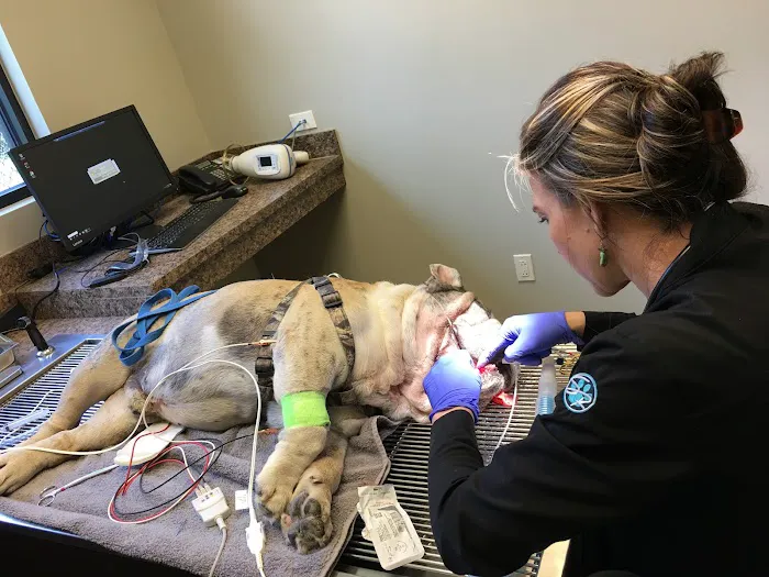 Stone Ridge Veterinary Medical Center & Pet Resort Picture 1