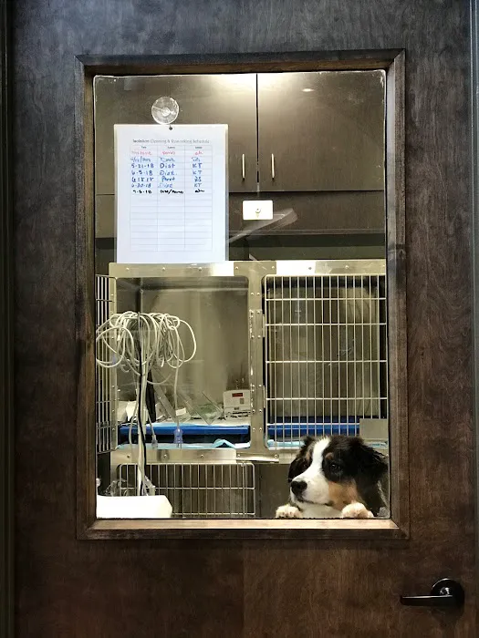 Stone Ridge Veterinary Medical Center & Pet Resort Picture 6