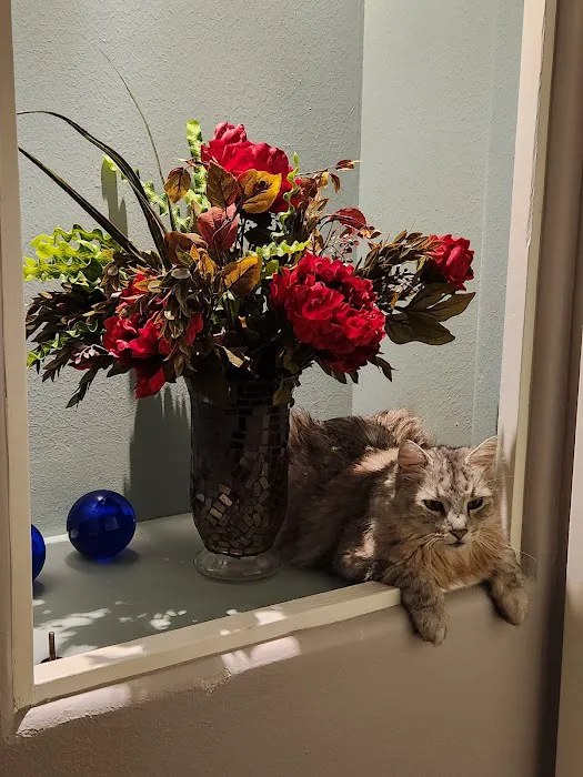 Conroe Veterinary Clinic Picture 7