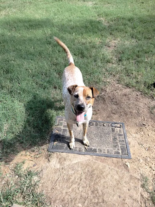 Conroe Veterinary Clinic Picture 8