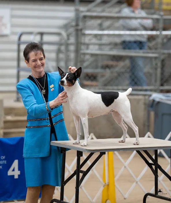 Conroe Veterinary Clinic Picture 9