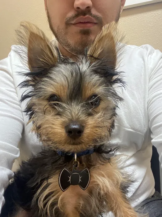 Animal Hospital and Emergency Clinic of Conroe Picture 4