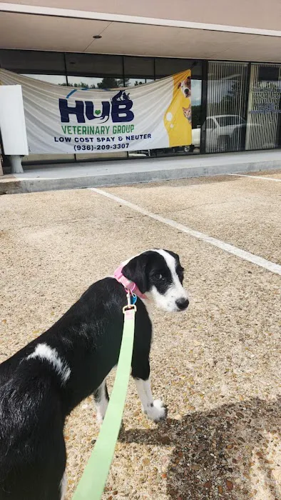 HUB Veterinary Group - Conroe Picture 3