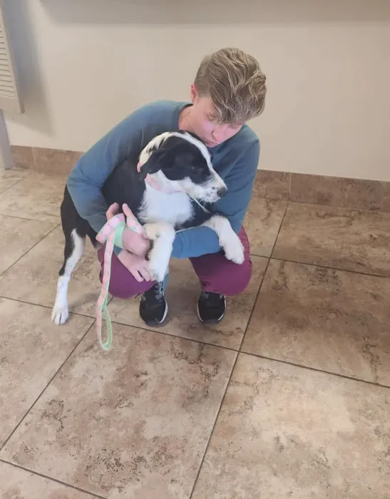 HUB Veterinary Group - Conroe Picture 5