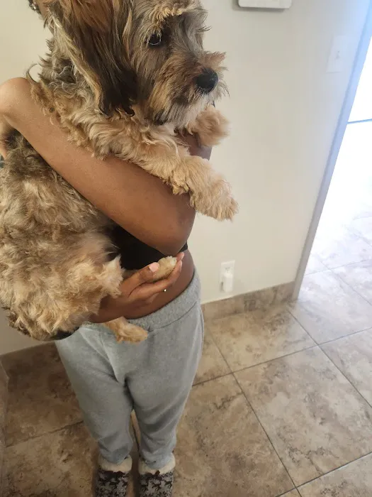 HUB Veterinary Group - Conroe Picture 1