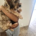 HUB Veterinary Group - Conroe