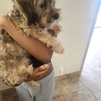 HUB Veterinary Group - Conroe ico