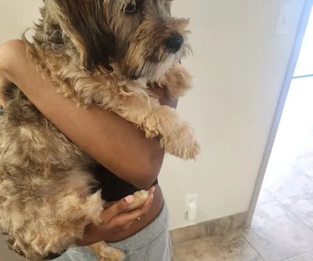 HUB Veterinary Group - Conroe