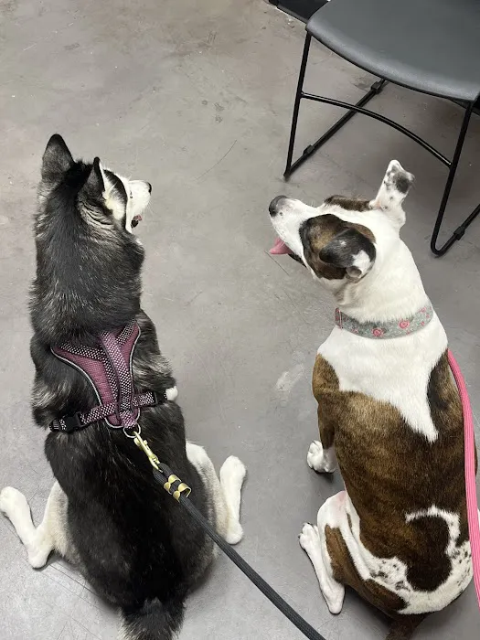 Horizon Veterinary | Animal Clinic & Surgical Center Picture 5