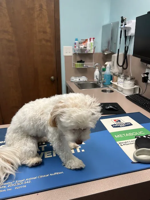 West Davis Veterinary Clinic Picture 6