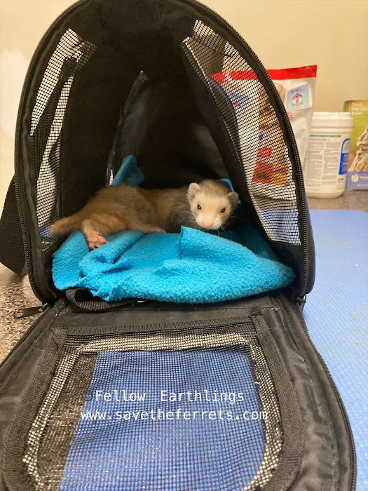 Pets Paw Animal Hospital Picture 1