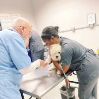 Vetco Vaccination Clinic ico