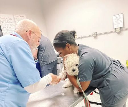 Vetco Vaccination Clinic