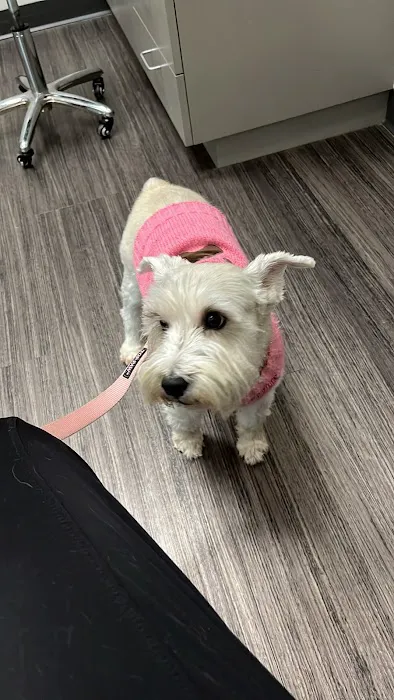 Magnolia Veterinary Hospital Picture 4