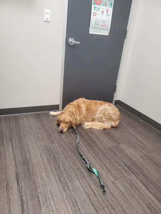 Magnolia Veterinary Hospital Picture 6