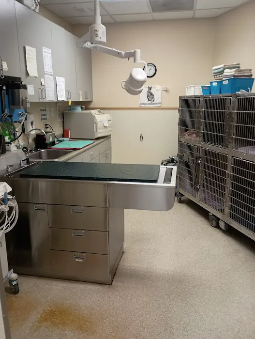 Animal Medical Center Picture 2