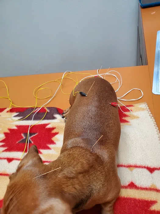 Bowman Veterinary Hospital Picture 2