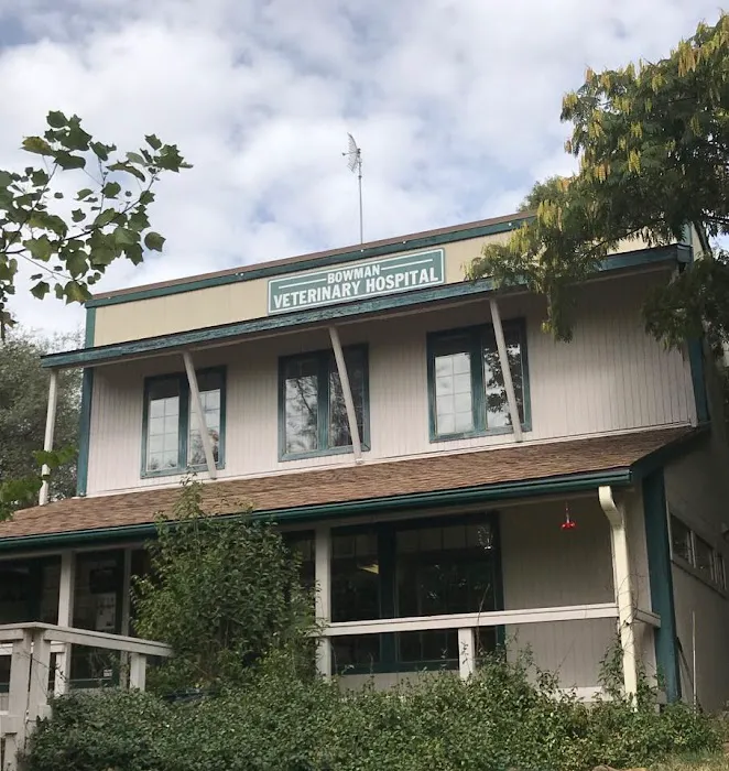 Bowman Veterinary Hospital Picture 8