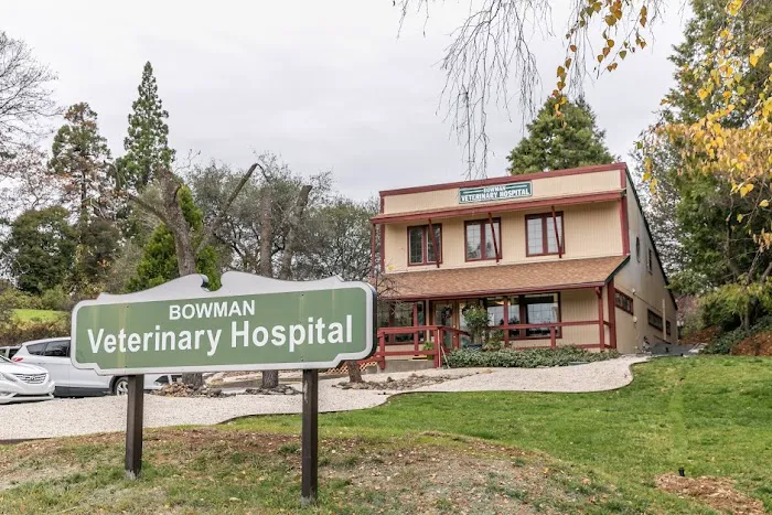 Bowman Veterinary Hospital Picture 7