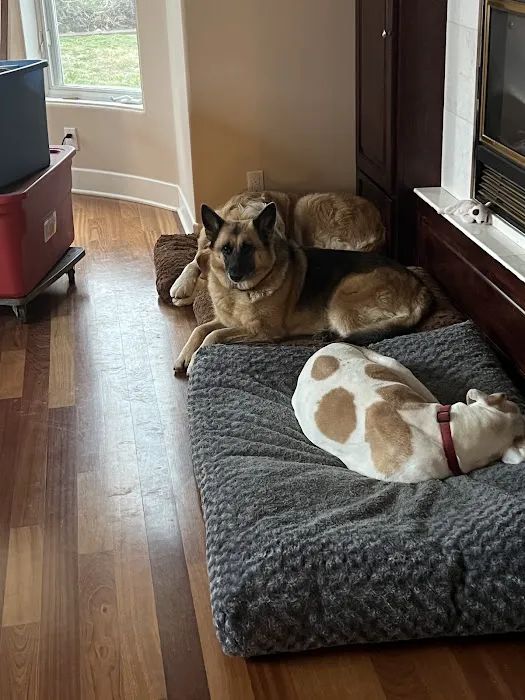 Slate Creek Animal Hospital Picture 1
