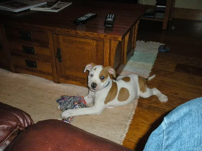 Slate Creek Animal Hospital Picture 2