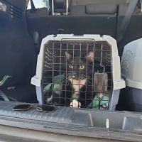 Small Paws Veterinary Clinic ico