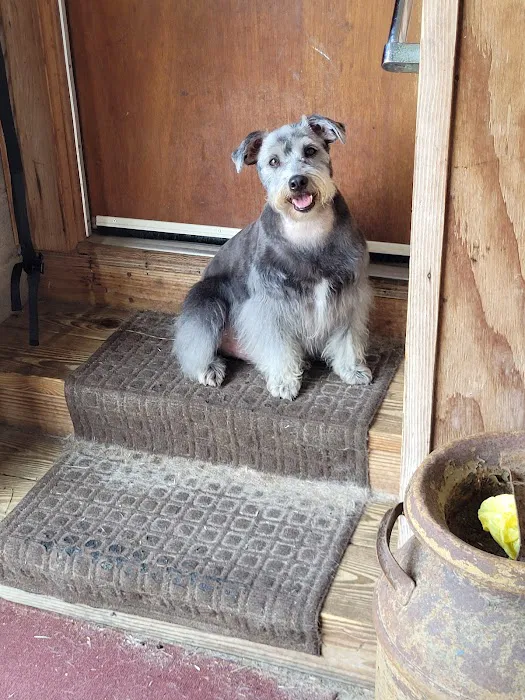 Small Paws Veterinary Clinic Picture 6