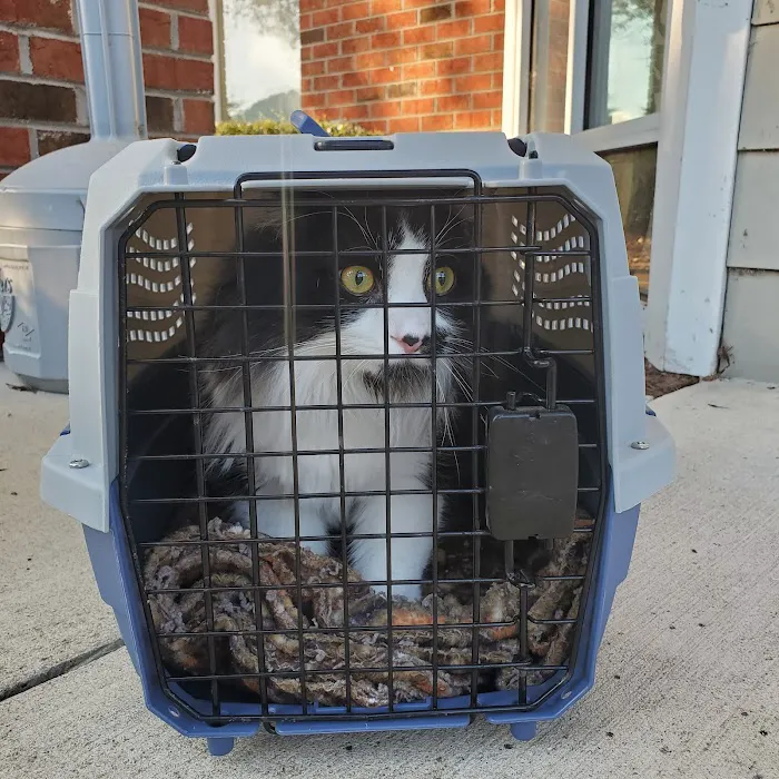 Small Paws Veterinary Clinic Picture 5